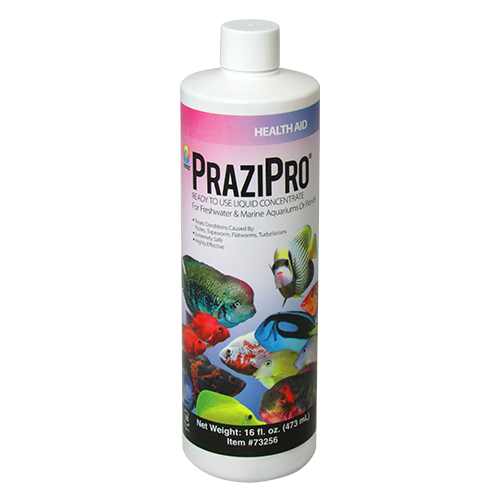 Hikari Prazipro Parasite Treatment