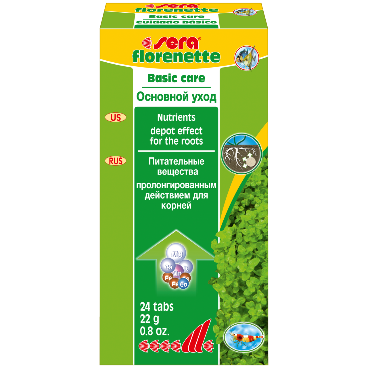 Sera Florenette Root Tabs