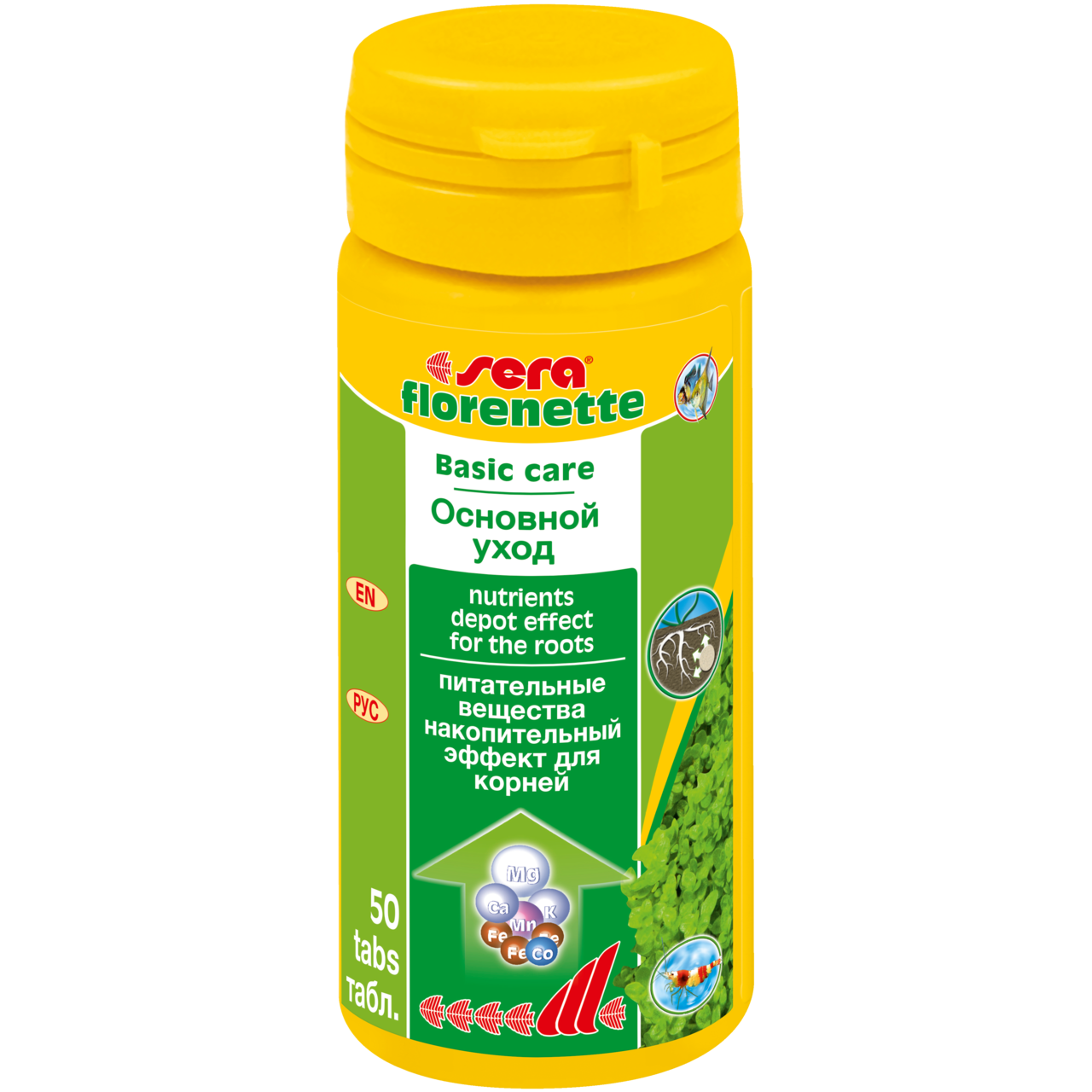 Sera Florenette Root Tabs