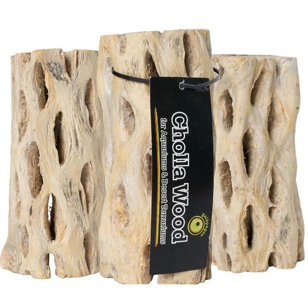 Cholla Wood 3 pk