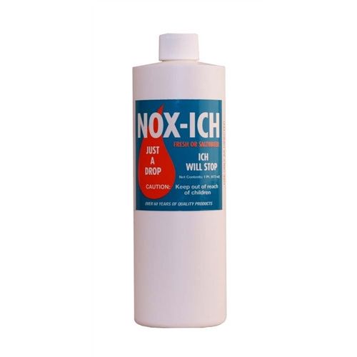 Nox Ich 16oz