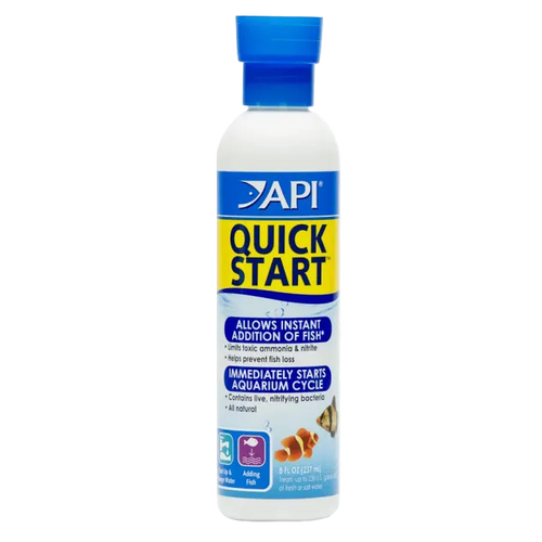 API Quick Start
