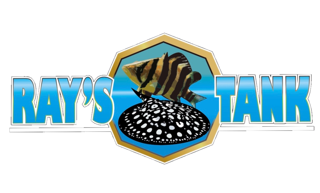 Rays Tank