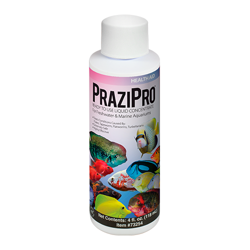 Hikari Prazipro Parasite Treatment